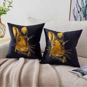 Minimalist Power Rabbit pillow case, 18x18 set of 4